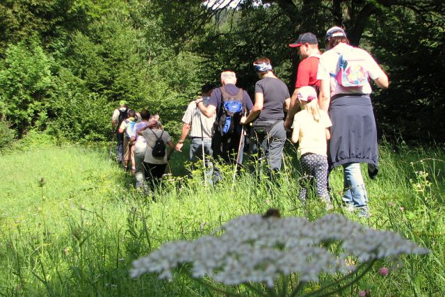 Pohod pred piknikom 1.8.2015 - foto