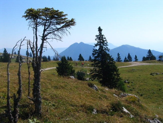 Velika Planina 2006 - foto povečava