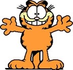 Garfield - foto povečava