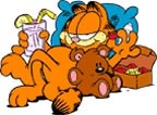 Garfield - foto povečava