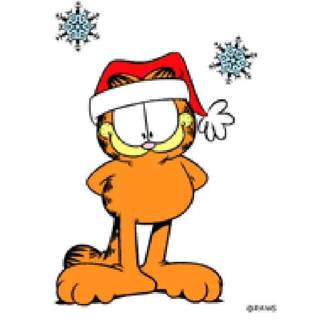 Garfield - foto