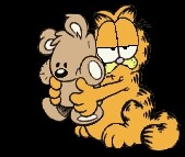 Garfield - foto