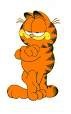 Garfield - foto povečava