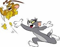 Tom in Jerry - foto povečava