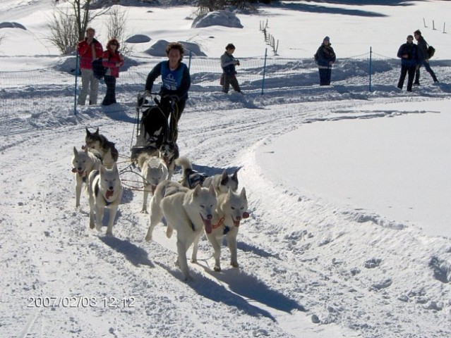 SLEDDOG RATEČE 2007 - foto