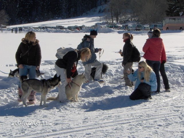 SLEDDOG RATEČE 2007 - foto