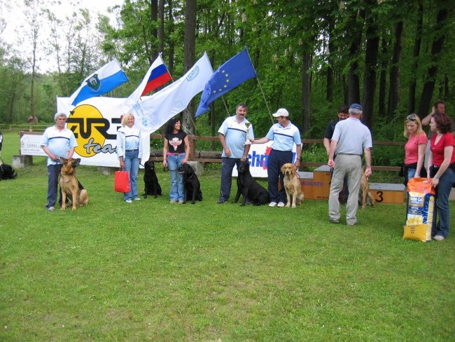 Regijska tekma Duplica 13.5.2006 - foto povečava