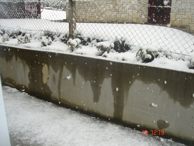 SNEGEC - foto povečava