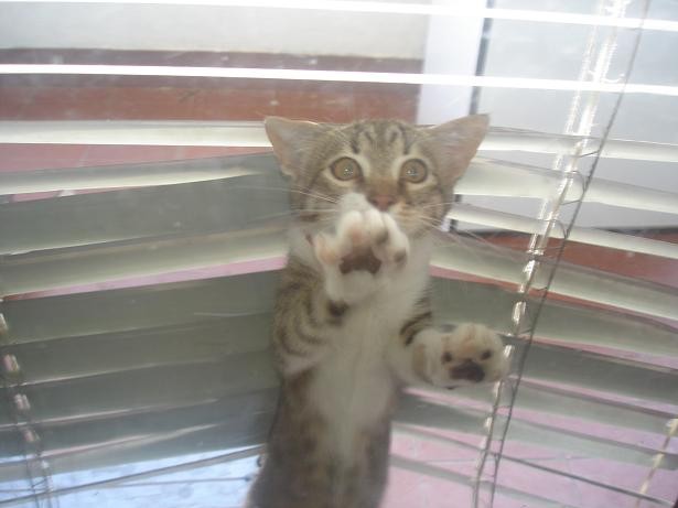 LET ME IN!!!