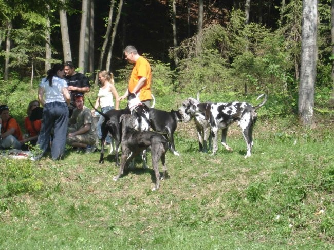 Piknik 28.4.2007 - foto povečava