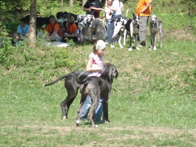 Piknik 28.4.2007 - foto povečava