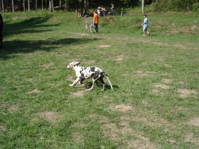 Piknik 28.4.2007 - foto povečava