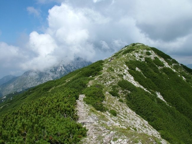 Bašeljski vrh, 20. julij 2008 - foto povečava