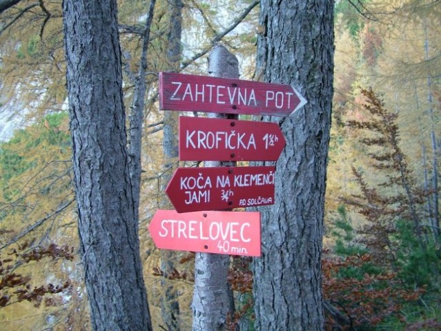 Krofička, 12. 10. 2008 - foto