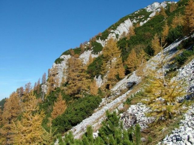 Krofička, 12. 10. 2008 - foto