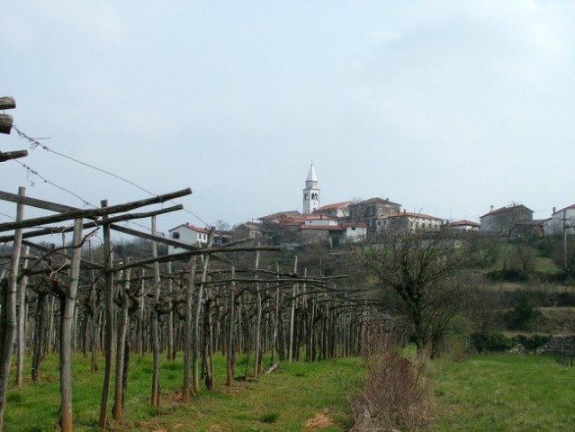 Kosovelova pot, Pliskavica, 18.3.07 - foto