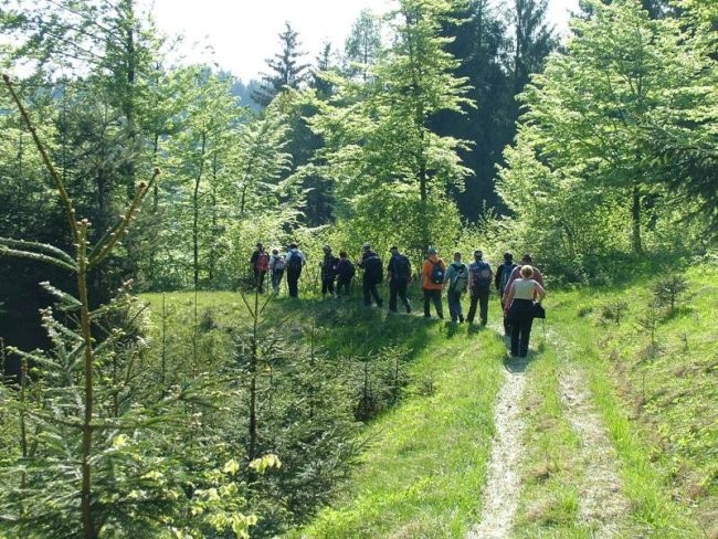 Krpanova pot, 29. april 2007 - foto povečava