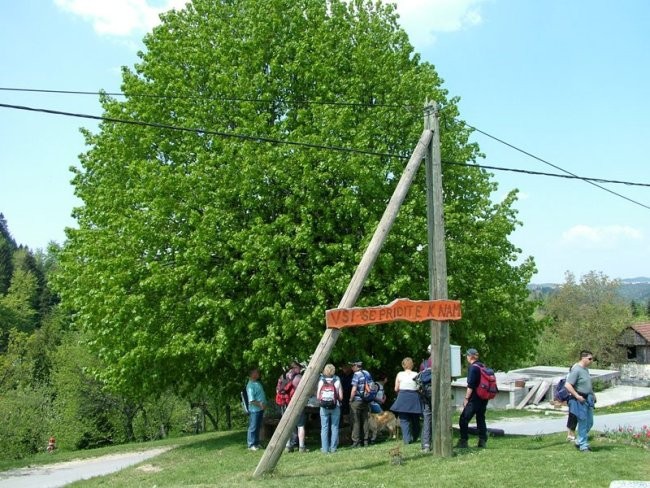 Krpanova pot, 29. april 2007 - foto povečava