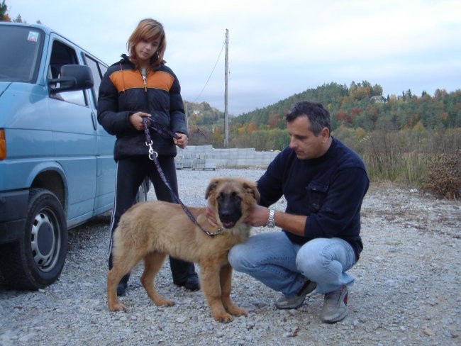 Lony - foto povečava