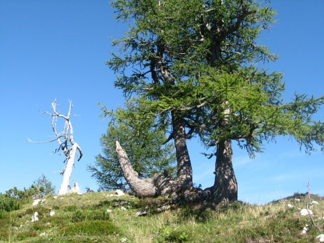 Prevalski Stog 2075m in ostali Stogi - foto povečava