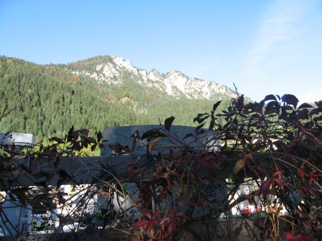 Borovlje 1476m, Planica 1508m - foto povečava