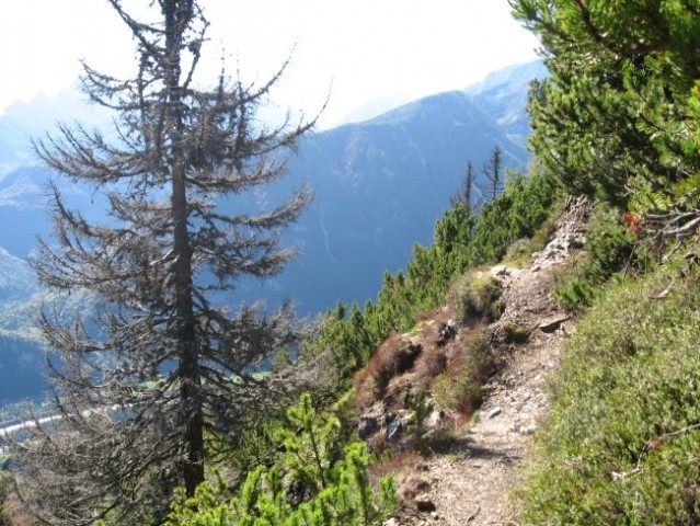 Borovlje 1476m, Planica 1508m - foto