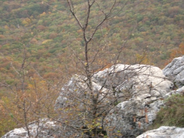 Izlet na Kras - foto