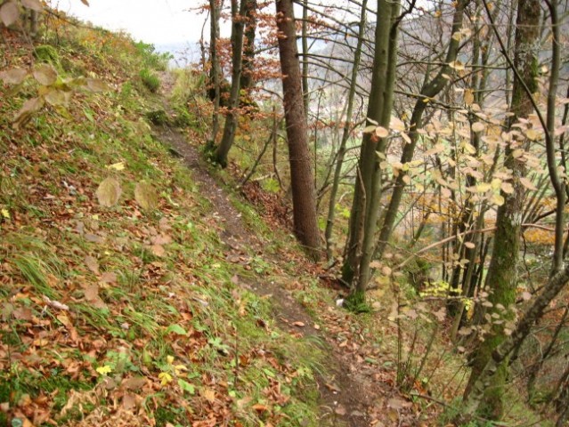 Babčev tabor - foto