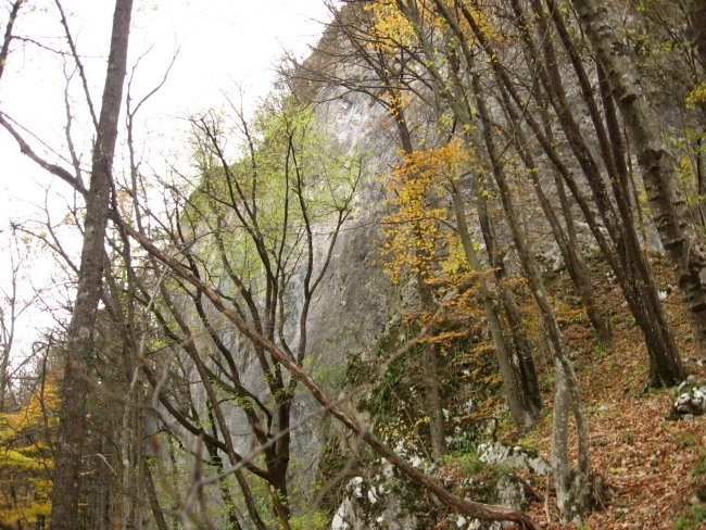 Babčev tabor - foto povečava