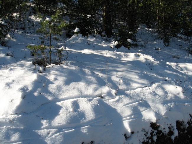 Grmada 899m in Tošč 1021m - foto povečava