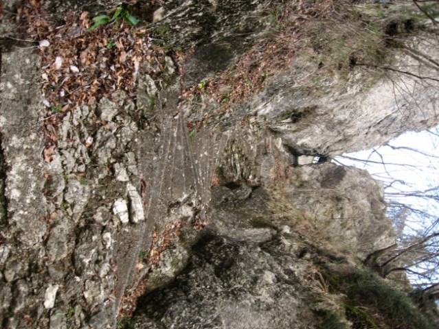 Posočje - foto