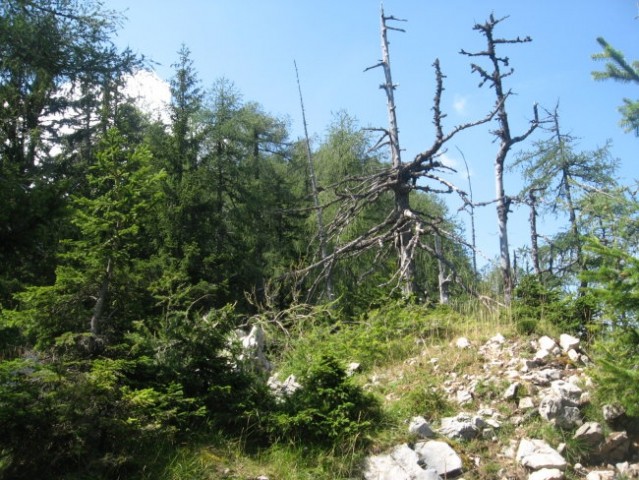 Ruš 1614m - foto