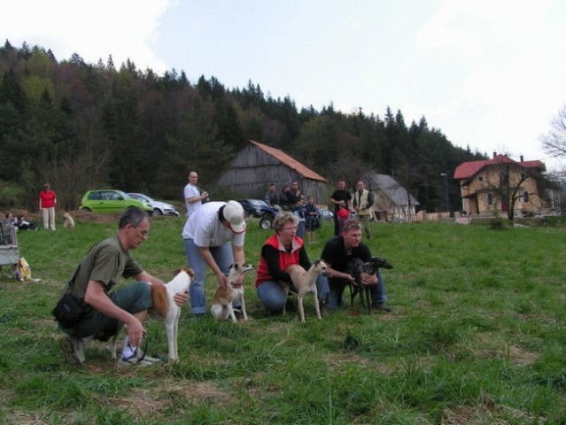 Coursing 2006 - foto