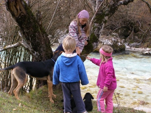 Mali norijo - foto povečava