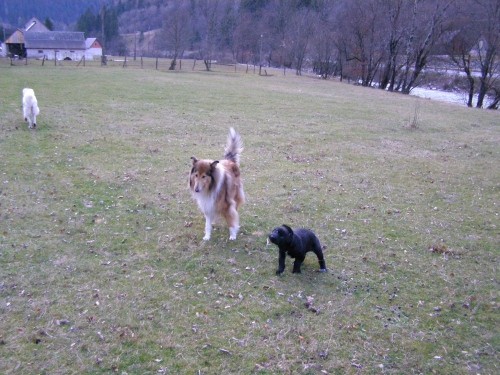 Mali in veliki - foto