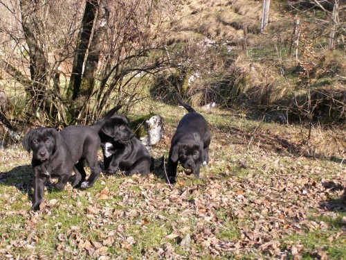 Mali in veliki - foto povečava