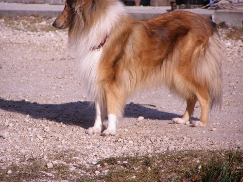 Zadnji dan v letu 2007 - foto povečava
