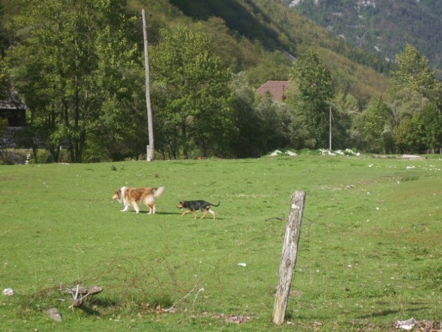 Najbolje da sledim kar Kali, pa se ne bom zgubila.