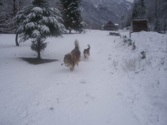 Zimsko veselje 2007 - foto povečava