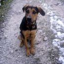 Kala,Runo,Saba - 1.2.2007