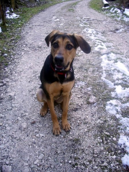 Kala,Runo,Saba - 1.2.2007 - foto povečava