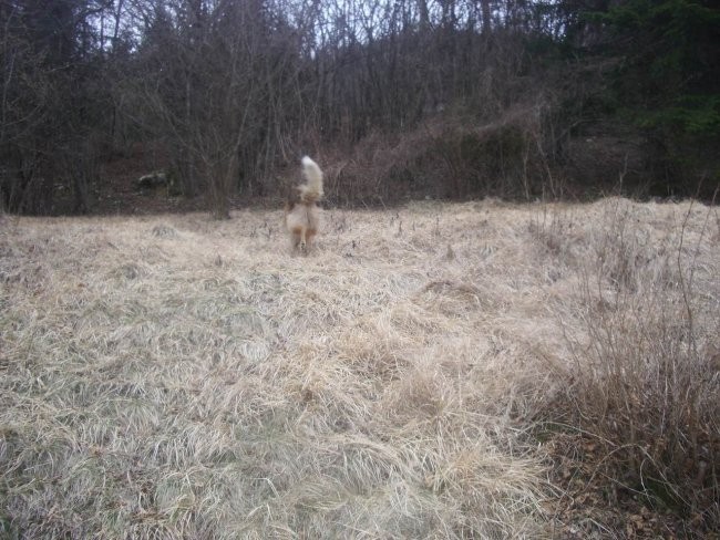 Kala in Runo na sprehodu - foto povečava