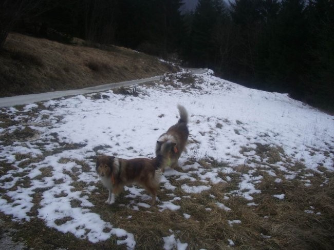 Kala in Runo na sprehodu - foto povečava