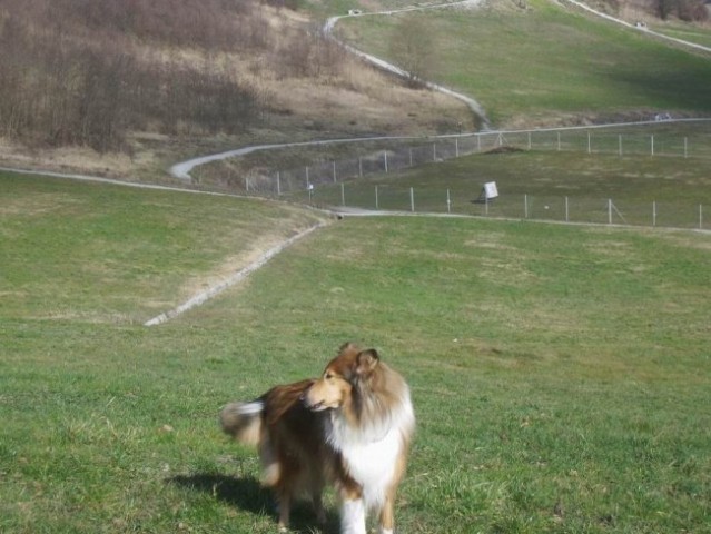 Počitnice v Zagorju - foto