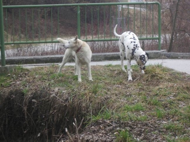 Počitnice v Zagorju - foto povečava