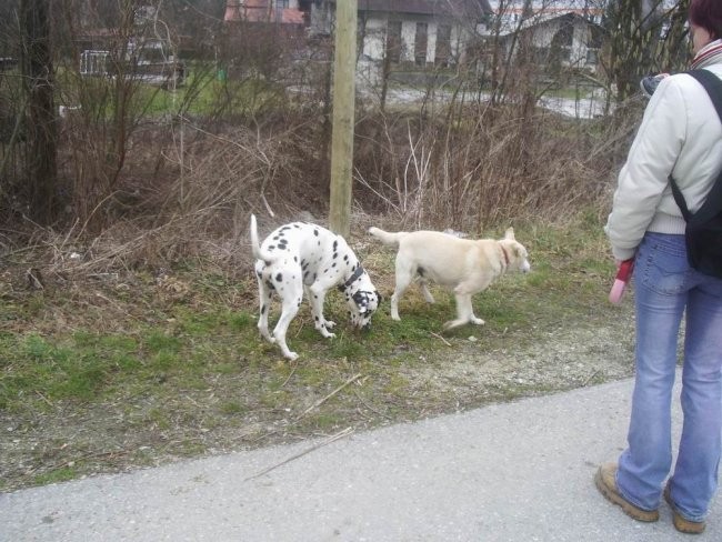 Počitnice v Zagorju - foto povečava