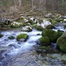 Kala, Runo in Bella na sprehodu