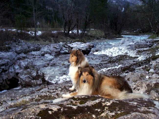 Večerni sprehod - foto povečava