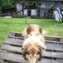 kao agility,mucki