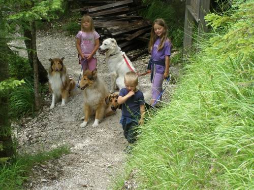 Moji trije in Saba - foto povečava